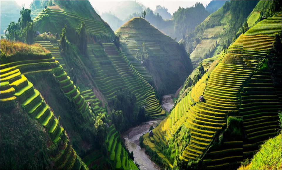 Tây Bắc Mùa Lúa Chín Rực Rỡ Sắc Vàng Trong Bộ Ảnh 'Dấu Ấn Việt Nam' - Ảnh 1 Tây Bắc Mùa Lúa Chín Rực Rỡ Sắc Vàng Trong Bộ Ảnh 'Dấu Ấn Việt Nam' - Ảnh 1