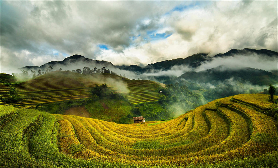 Tây Bắc Mùa Lúa Chín Rực Rỡ Sắc Vàng Trong Bộ Ảnh 'Dấu Ấn Việt Nam' - Ảnh 2 Tây Bắc Mùa Lúa Chín Rực Rỡ Sắc Vàng Trong Bộ Ảnh 'Dấu Ấn Việt Nam' - Ảnh 2