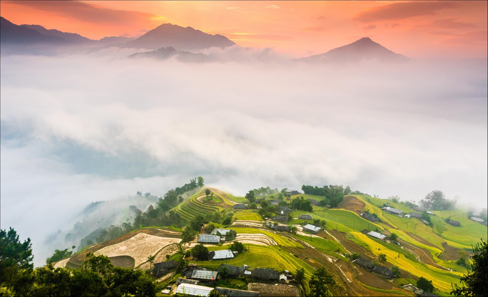 Tây Bắc Mùa Lúa Chín Rực Rỡ Sắc Vàng Trong Bộ Ảnh 'Dấu Ấn Việt Nam' - Ảnh 4 Tây Bắc Mùa Lúa Chín Rực Rỡ Sắc Vàng Trong Bộ Ảnh 'Dấu Ấn Việt Nam' - Ảnh 4