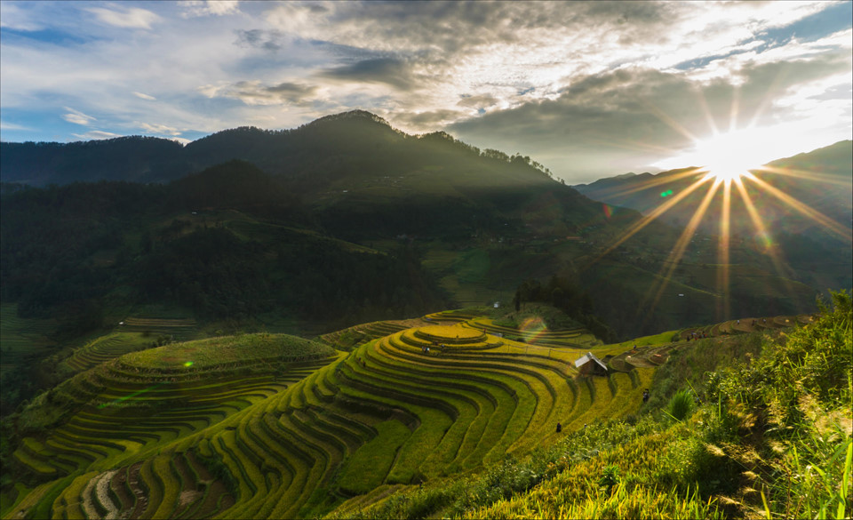 Tây Bắc Mùa Lúa Chín Rực Rỡ Sắc Vàng Trong Bộ Ảnh 'Dấu Ấn Việt Nam' - Ảnh 6 Tây Bắc Mùa Lúa Chín Rực Rỡ Sắc Vàng Trong Bộ Ảnh 'Dấu Ấn Việt Nam' - Ảnh 6