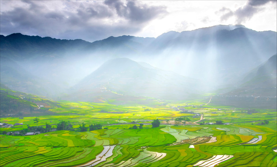 Tây Bắc Mùa Lúa Chín Rực Rỡ Sắc Vàng Trong Bộ Ảnh 'Dấu Ấn Việt Nam' - Ảnh 5 Tây Bắc Mùa Lúa Chín Rực Rỡ Sắc Vàng Trong Bộ Ảnh 'Dấu Ấn Việt Nam' - Ảnh 5