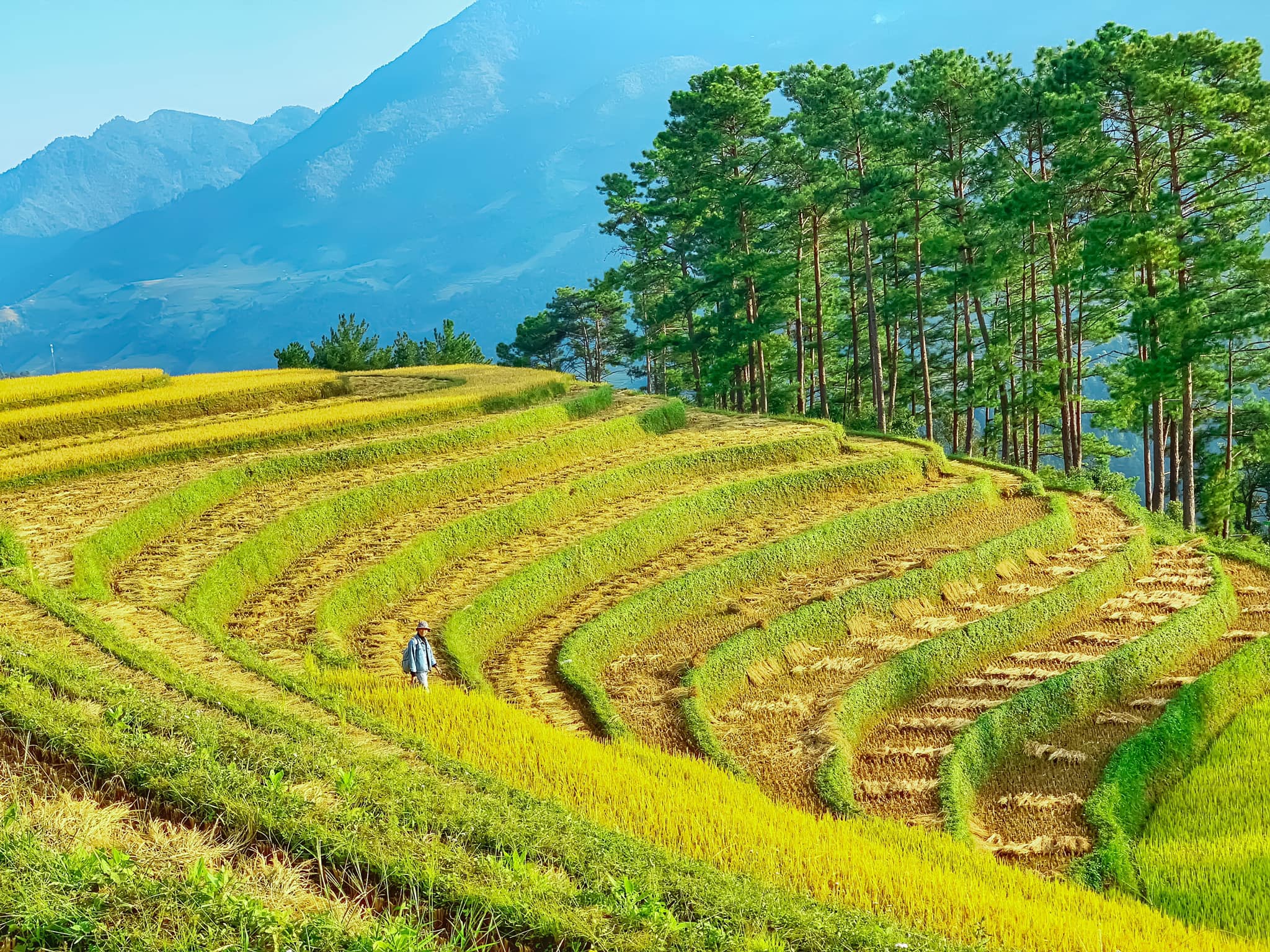 Mù Cang Chải - Đi để thấy vẻ đẹp thuần khiết của thiên nhiên - Ảnh 3