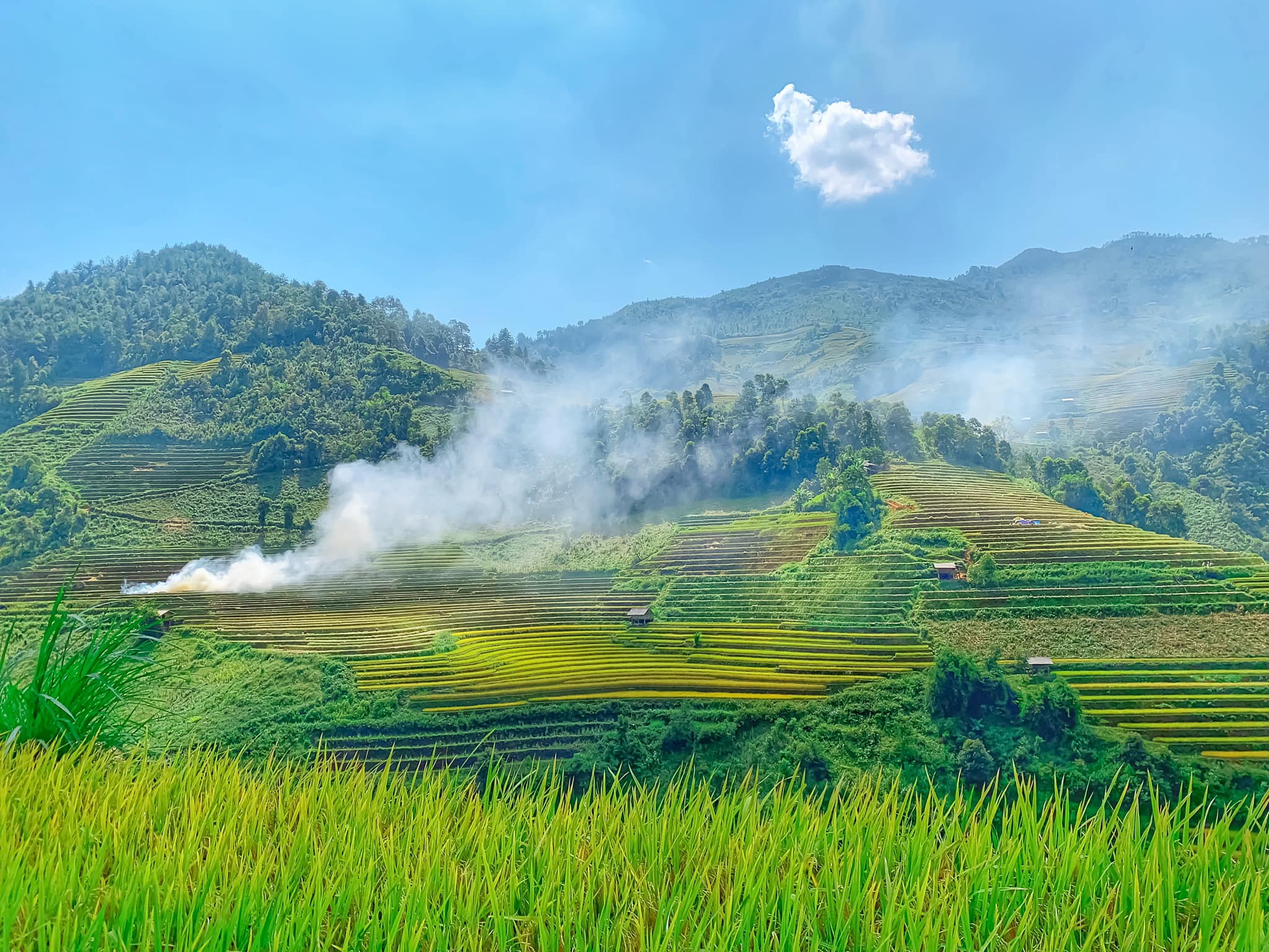 Mù Cang Chải - Đi để thấy vẻ đẹp thuần khiết của thiên nhiên - Ảnh 5