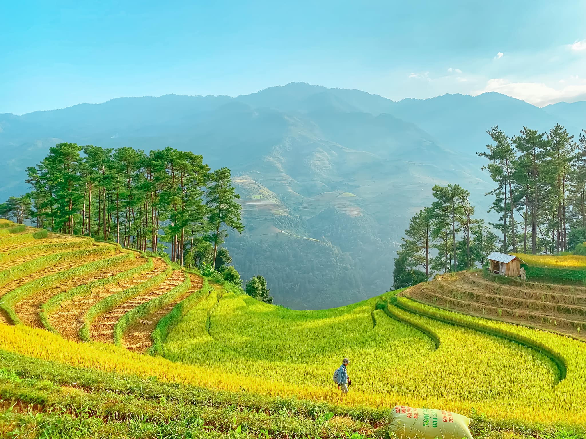 Mù Cang Chải - Đi để thấy vẻ đẹp thuần khiết của thiên nhiên - Ảnh 4