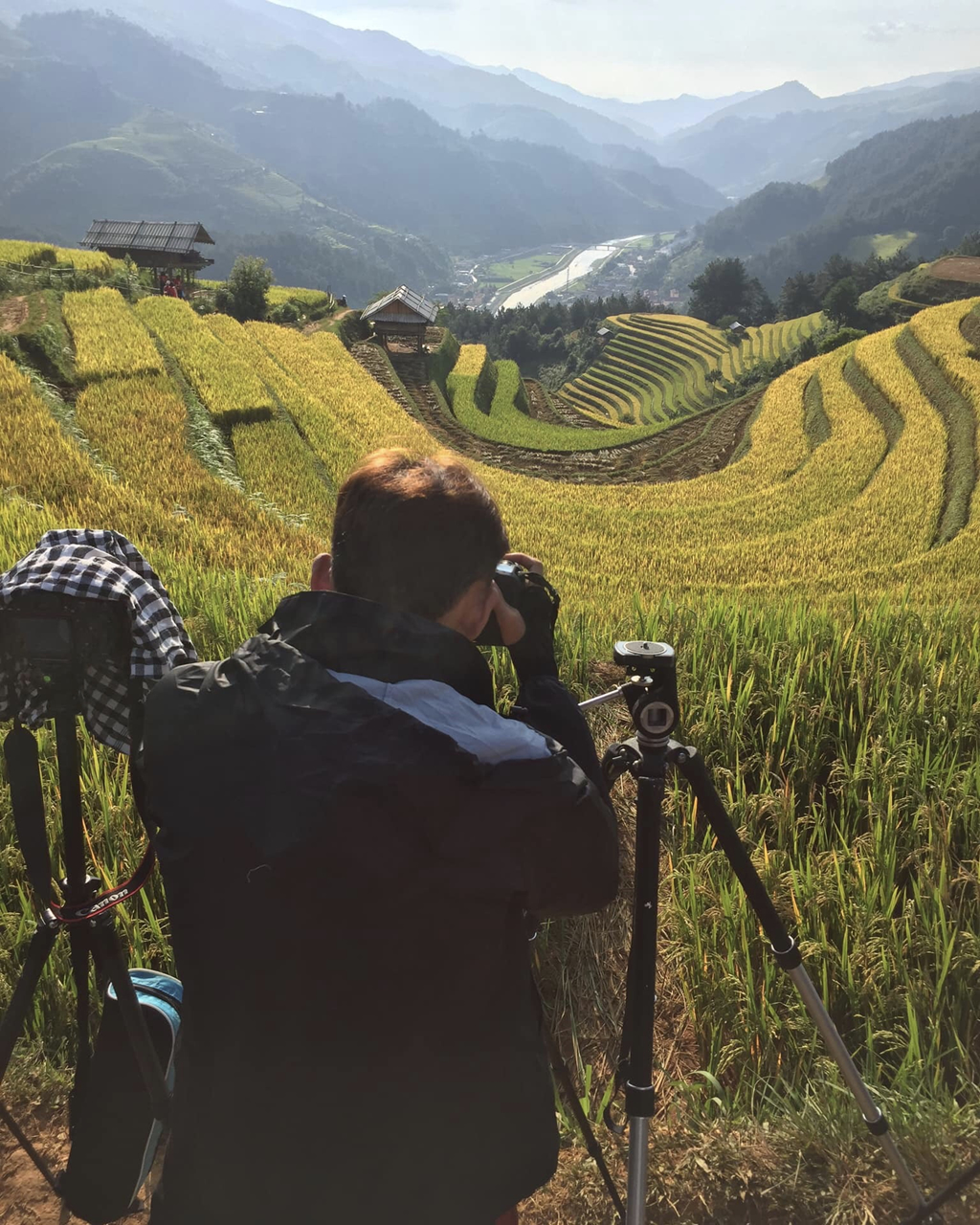 Bỏ túi sẵn các địa điểm check-in lúa chín đẹp nhất - Ảnh 1 Bỏ túi sẵn các địa điểm check-in lúa chín đẹp nhất - Ảnh 1