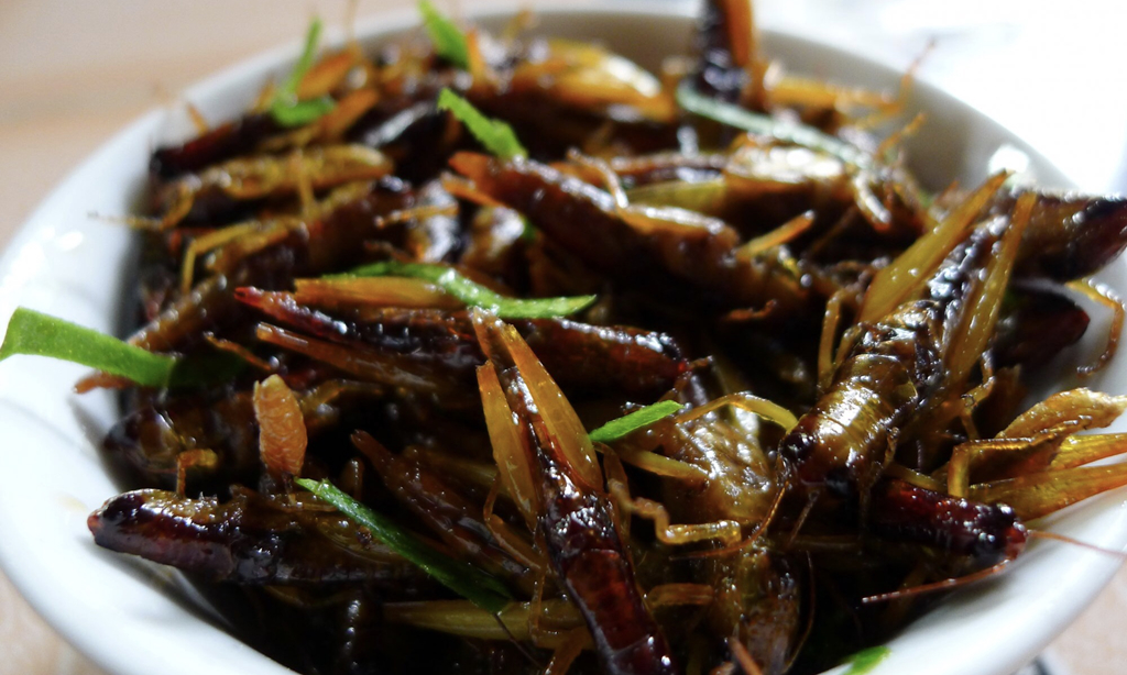 Không quên thưởng thức các đặc sản ở Mù Cang Chải - Ảnh 4 Không quên thưởng thức các đặc sản ở Mù Cang Chải - Ảnh 4