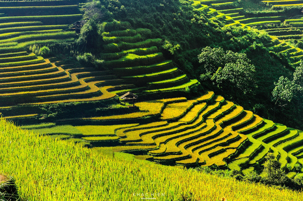 Bỏ túi sẵn các địa điểm check-in lúa chín đẹp nhất - Ảnh 5 Bỏ túi sẵn các địa điểm check-in lúa chín đẹp nhất - Ảnh 5