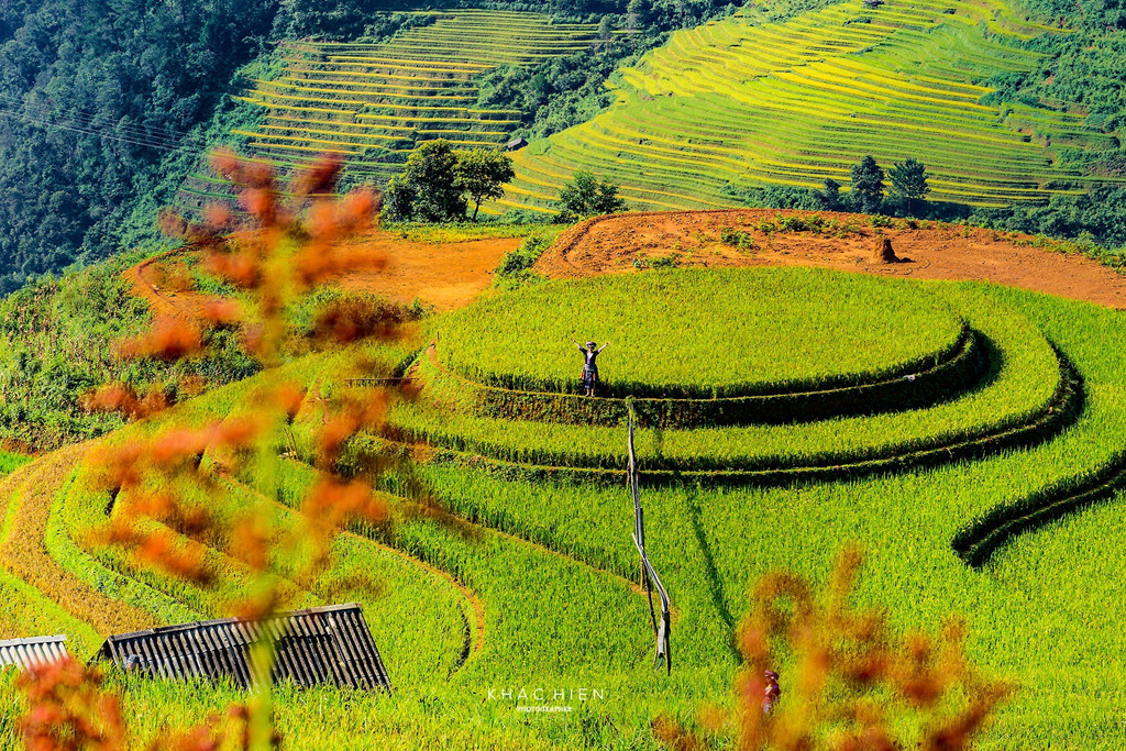 Bỏ túi sẵn các địa điểm check-in lúa chín đẹp nhất - Ảnh 4 Bỏ túi sẵn các địa điểm check-in lúa chín đẹp nhất - Ảnh 4