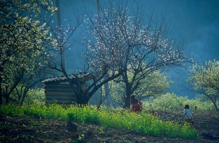 Bản Lóng Luông - Ảnh 2 Bản Lóng Luông - Ảnh 2