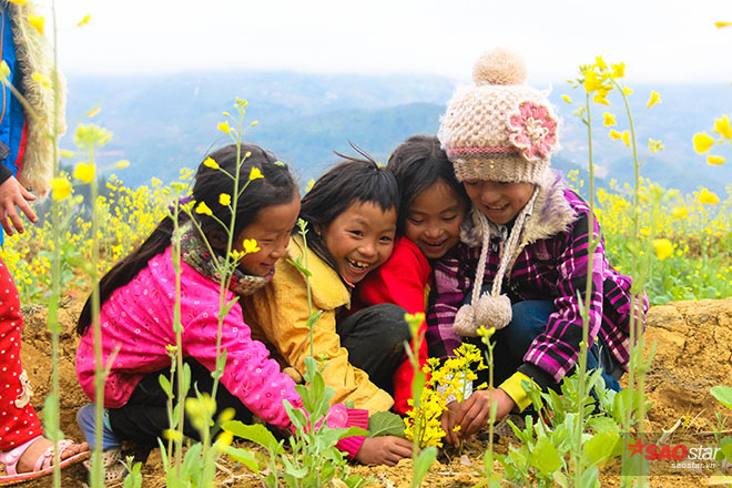 Cận Cảnh Vẻ Đẹp Ngỡ Ngàng Mù Cang Chải Rực Vàng Mùa Hoa Cải - Ảnh 15