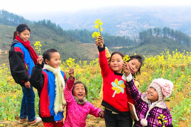 Cận Cảnh Vẻ Đẹp Ngỡ Ngàng Mù Cang Chải Rực Vàng Mùa Hoa Cải - Ảnh 13