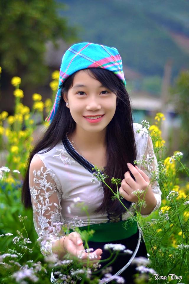 Cận Cảnh Vẻ Đẹp Ngỡ Ngàng Mù Cang Chải Rực Vàng Mùa Hoa Cải - Ảnh 7