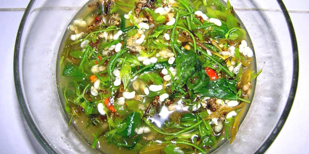 Canh Trứng Kiến Canh Trứng Kiến