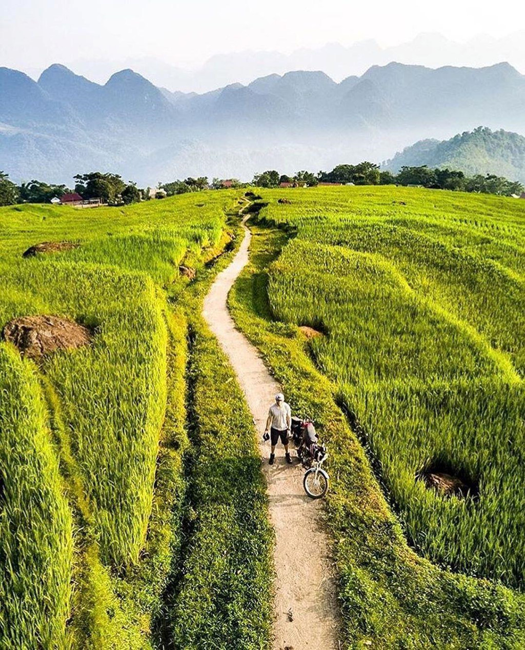 Check-in Mùa Vàng Đông Tây Bắc Trên 7 Vùng Đất Lúa Chín Nổi Tiếng - Ảnh 8 Check-in Mùa Vàng Đông Tây Bắc Trên 7 Vùng Đất Lúa Chín Nổi Tiếng - Ảnh 8