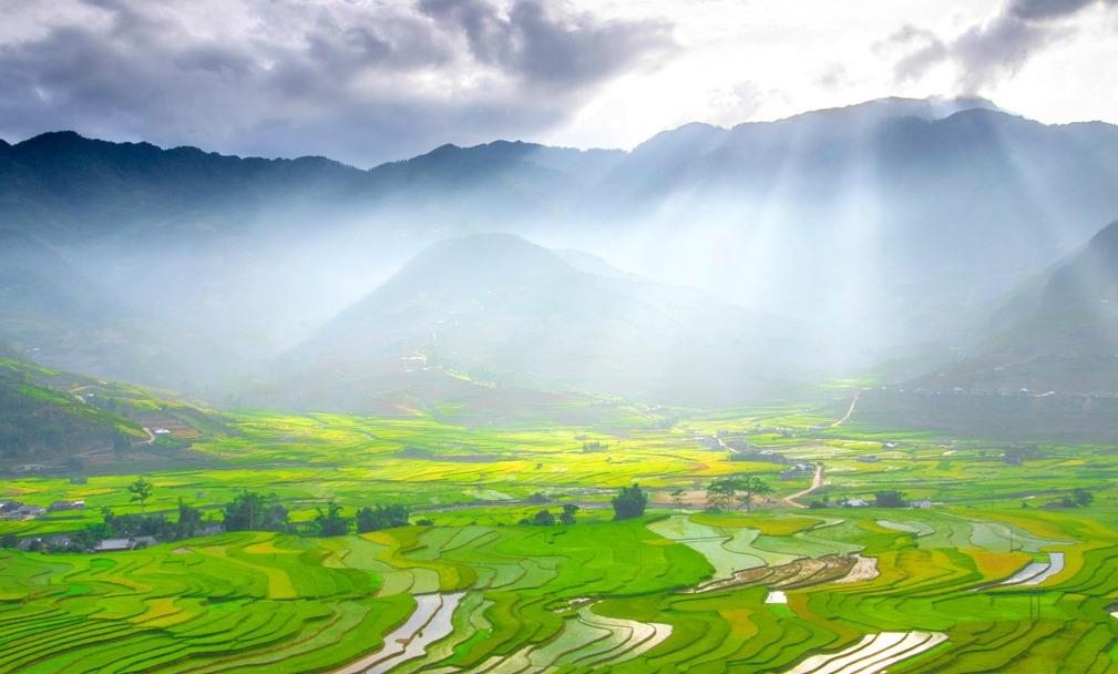 Check-in Mùa Vàng Đông Tây Bắc Trên 7 Vùng Đất Lúa Chín Nổi Tiếng - Ảnh 4 Check-in Mùa Vàng Đông Tây Bắc Trên 7 Vùng Đất Lúa Chín Nổi Tiếng - Ảnh 4