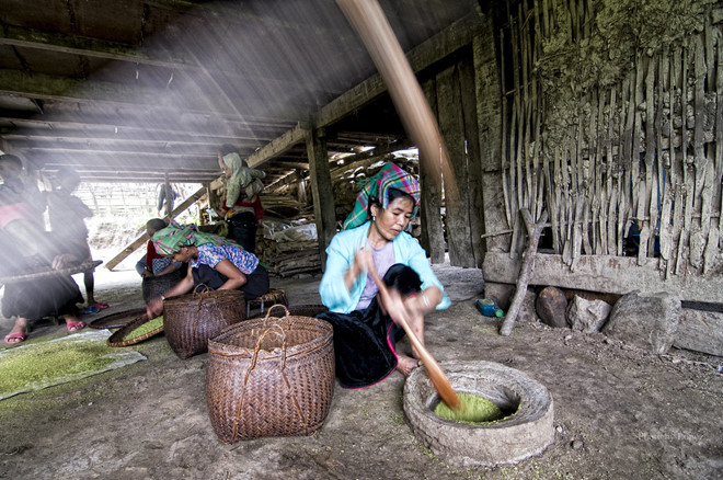 Cốm Tú Lệ - Hạt Ngọc Quý Của Núi Rừng Tây Bắc - Ảnh 3