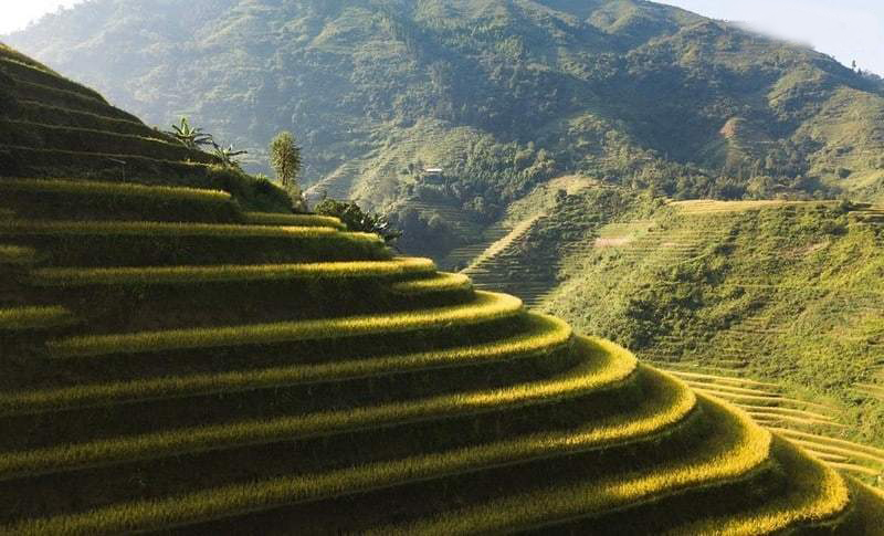 Hoang Su Phì, Hà Giang - Ảnh 1