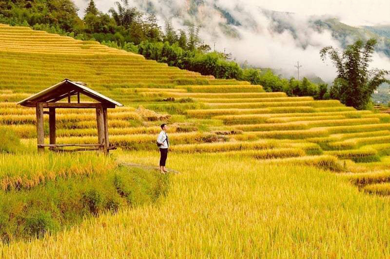 Mù Cang Chải, Yên Bái - Ảnh 1