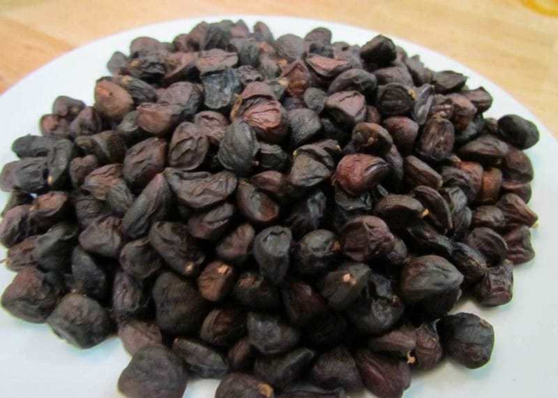 Hạt dổi vàng đen của núi rừng Tây Bắc - Ảnh 2 Hạt dổi vàng đen của núi rừng Tây Bắc - Ảnh 2
