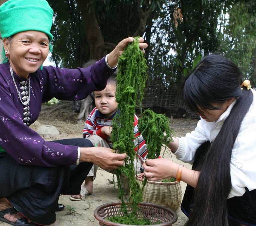 Khám Phá Ẩm Thực Núi Rừng Tây Bắc Tháng 10 - Ảnh 8 Khám Phá Ẩm Thực Núi Rừng Tây Bắc Tháng 10 - Ảnh 8