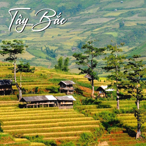 trải nghiệm 
Tây Bắc