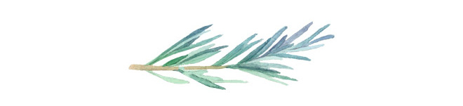 Phù Luông - Lúc Đi Thì Ngại Đường Xa, Lúc Đến Đẹp Quá Chẳng Ai Muốn Về - Ảnh 12