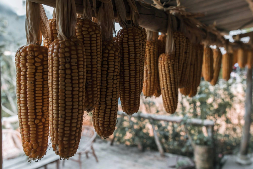 Tận Hưởng Kỳ Nghỉ ở Sapa, Hòa Mình Vào Núi Rừng Tây Bắc - Ảnh 26