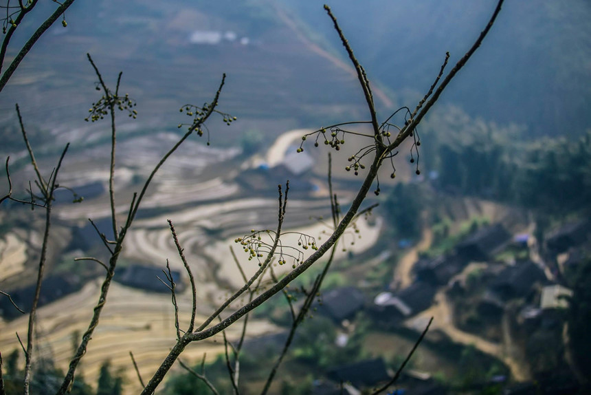 Tận Hưởng Kỳ Nghỉ ở Sapa, Hòa Mình Vào Núi Rừng Tây Bắc - Ảnh 9