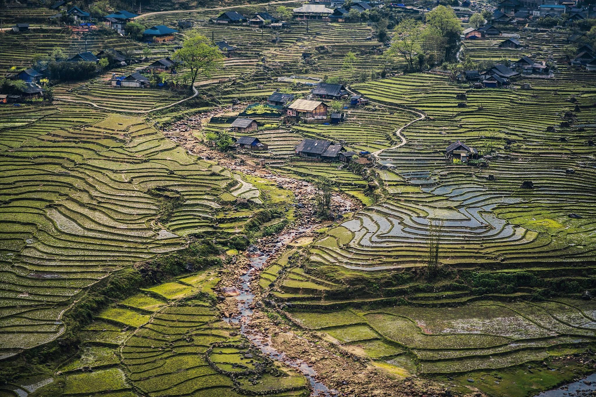 Tận Hưởng Kỳ Nghỉ ở Sapa, Hòa Mình Vào Núi Rừng Tây Bắc - Ảnh 2