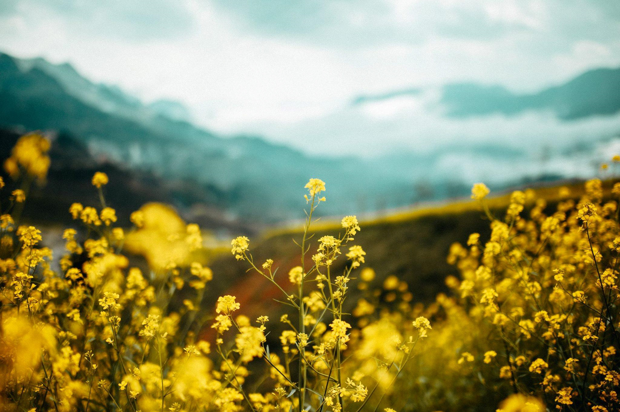 Tận Hưởng Kỳ Nghỉ ở Sapa, Hòa Mình Vào Núi Rừng Tây Bắc - Ảnh 3