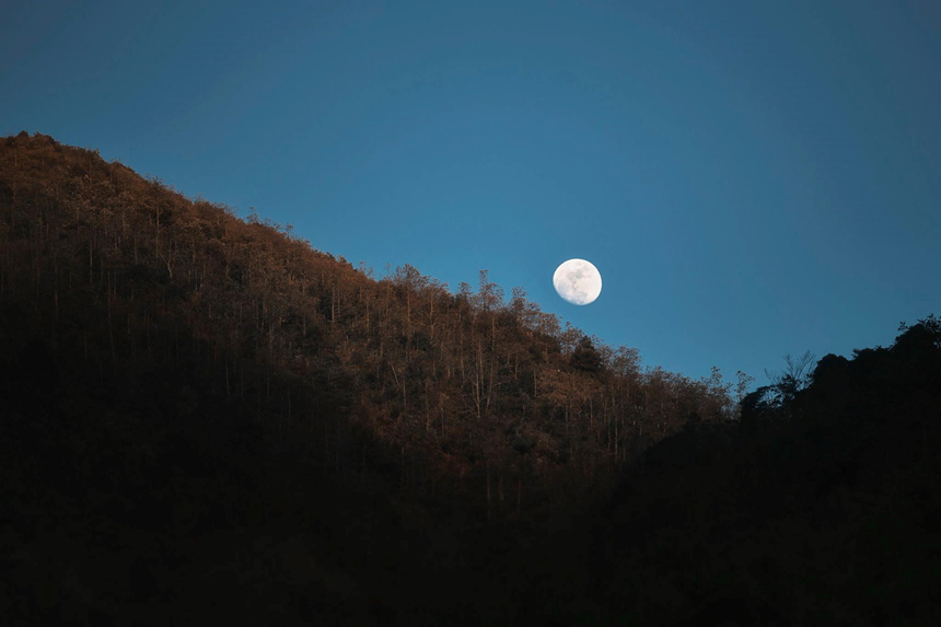 Tận Hưởng Kỳ Nghỉ ở Sapa, Hòa Mình Vào Núi Rừng Tây Bắc - Ảnh 8