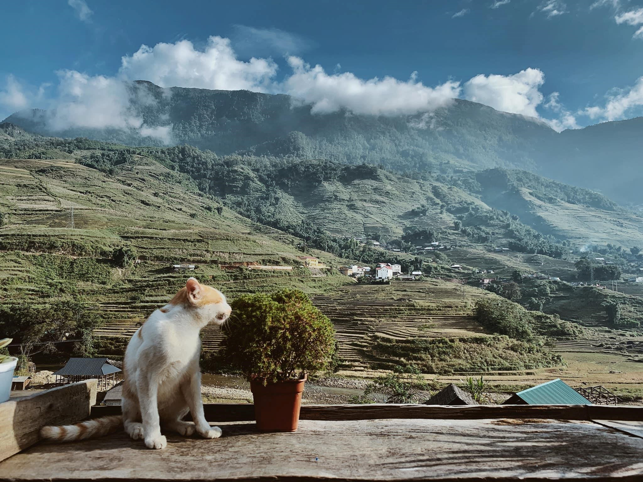 Tận Hưởng Kỳ Nghỉ ở Sapa, Hòa Mình Vào Núi Rừng Tây Bắc - Ảnh 12