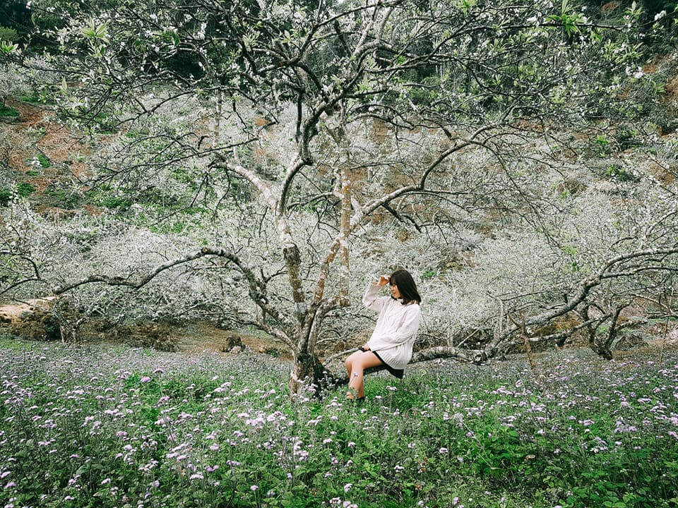 Tổng Hợp Những Địa Danh Tuyệt Đẹp Ở Sơn La - Ảnh 5 Tổng Hợp Những Địa Danh Tuyệt Đẹp Ở Sơn La - Ảnh 5