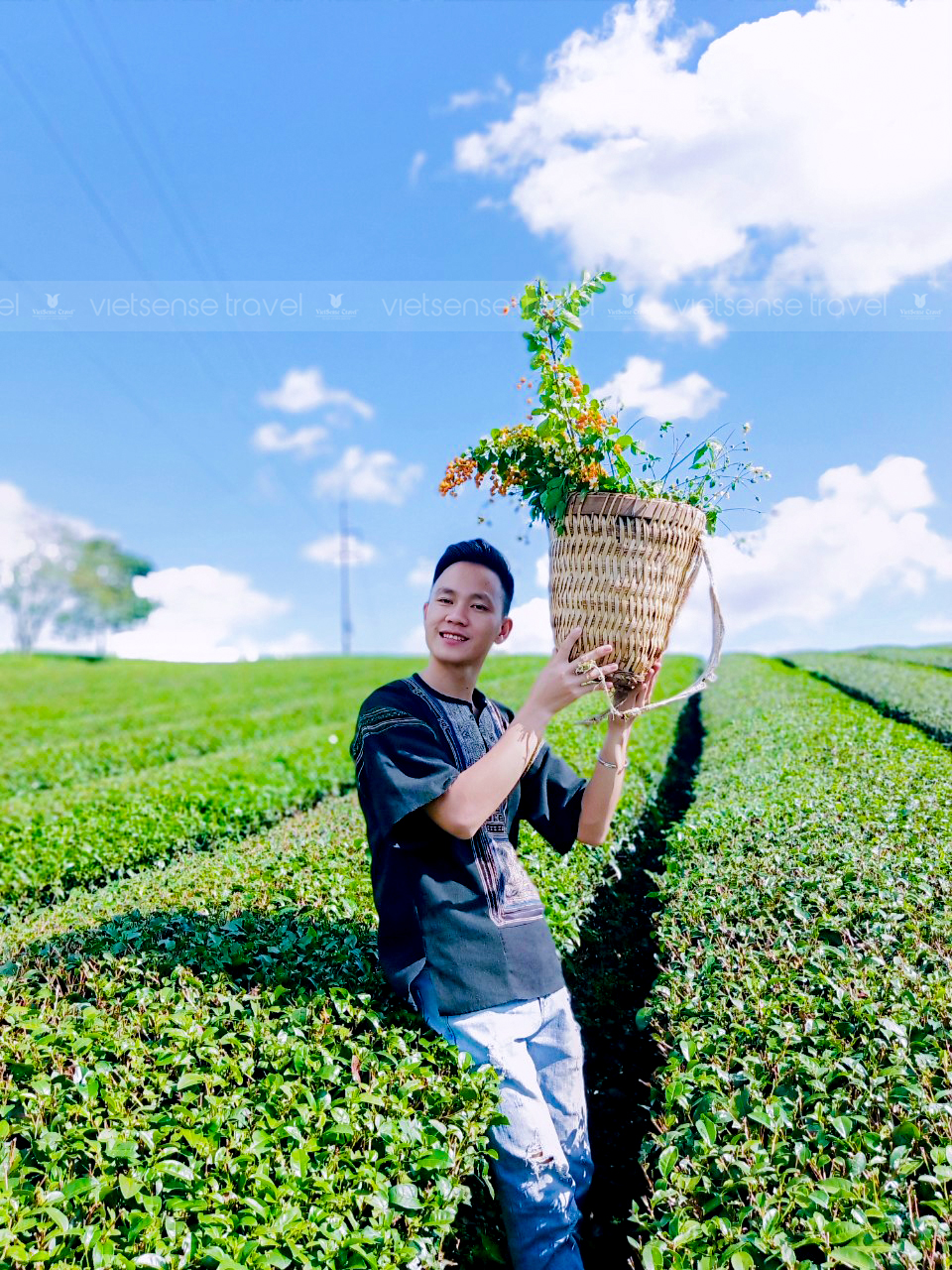 tham quan Rừng thông - Bản Áng, khu thăm quan Happy land - Ảnh 1 tham quan Rừng thông - Bản Áng, khu thăm quan Happy land - Ảnh 1