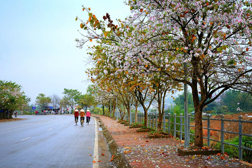 TOUR TÂY BẮC - RỘN RÀNG QUỐC KHÁNH: HÀ NỘI - SƠN LA - ĐIỆN BIÊN - Ảnh 3 TOUR TÂY BẮC - RỘN RÀNG QUỐC KHÁNH: HÀ NỘI - SƠN LA - ĐIỆN BIÊN - Ảnh 3
