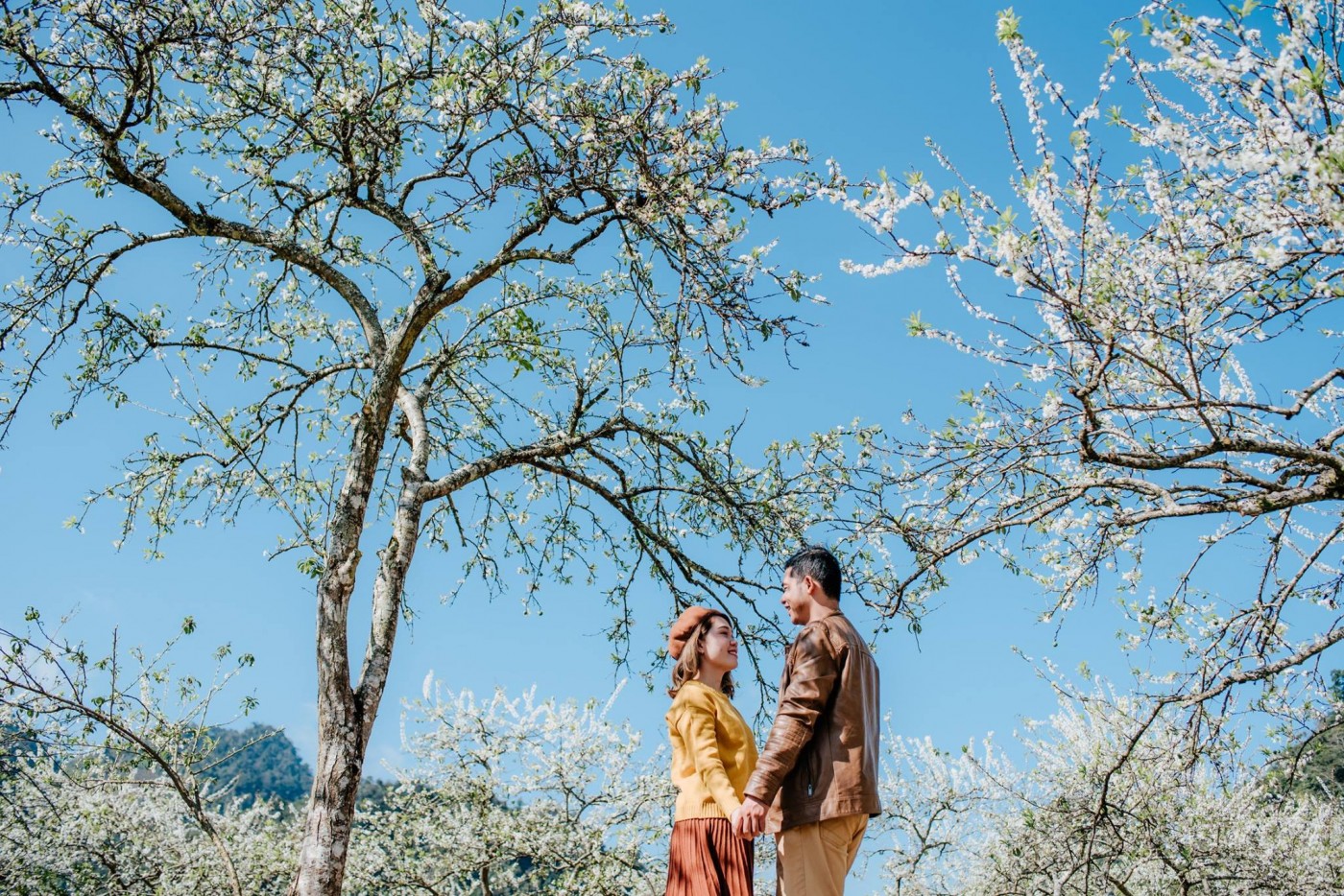 HÀ NỘI – MỘC CHÂU – VƯỜN MẬN BẢN HÔM CHIỀNG HẮC  - SƠN LA - Ảnh 1 HÀ NỘI – MỘC CHÂU – VƯỜN MẬN BẢN HÔM CHIỀNG HẮC  - SƠN LA - Ảnh 1