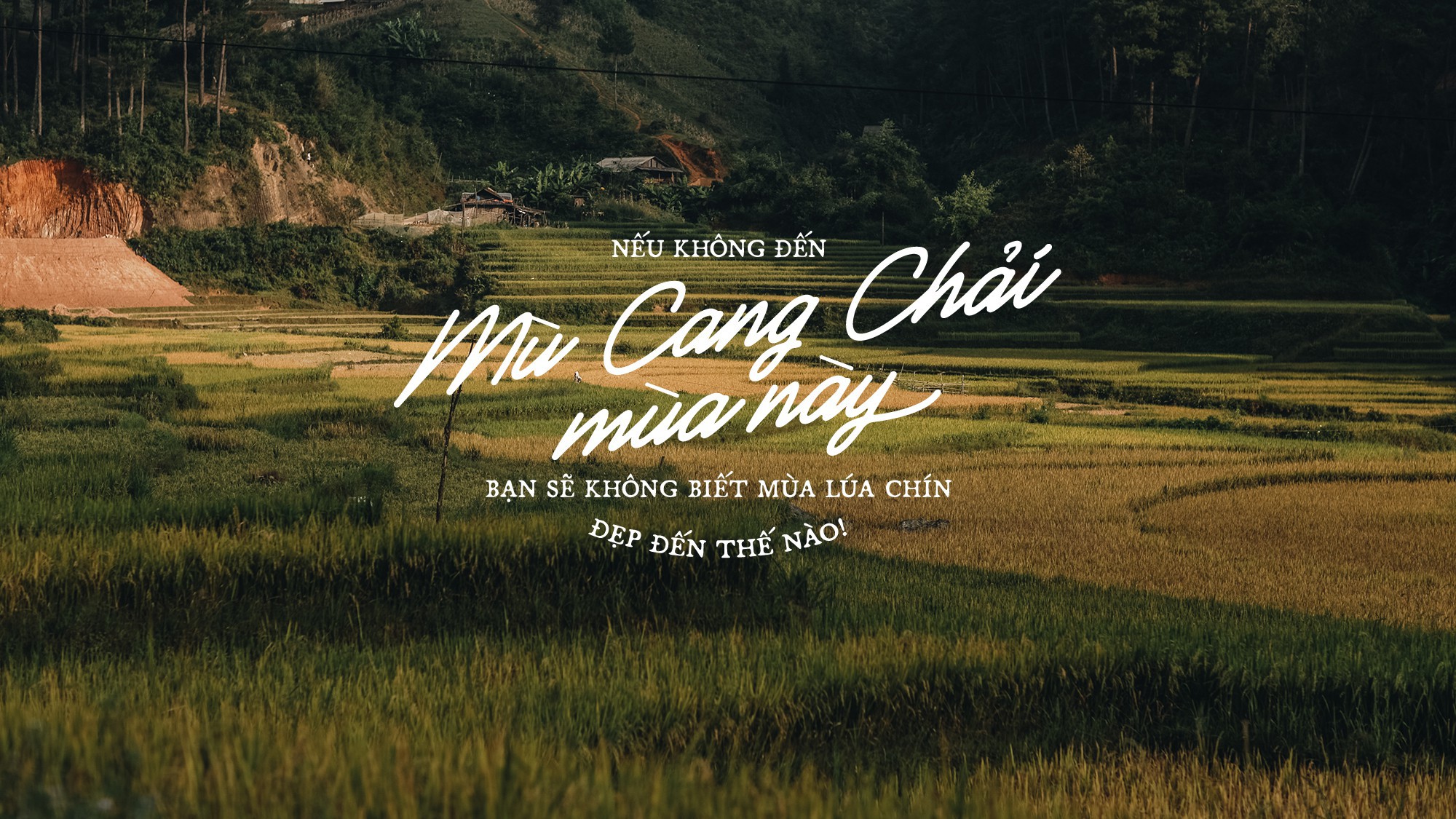 Tây Bắc 3 Ngày 2 Đêm: Hà Nội - Nghĩa Lộ - Mù Cang Chải - Tú Lệ - Ảnh 1