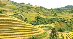 Du Lịch Tây Bắc 4 Ngày: Hà Nội – Sơn La – Điện Biên