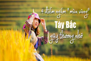 4 Điểm Đến Du Lịch Tây Bắc Mùa Lúa Chín Gây Thương Nhớ 4 Điểm Đến Du Lịch Tây Bắc Mùa Lúa Chín Gây Thương Nhớ