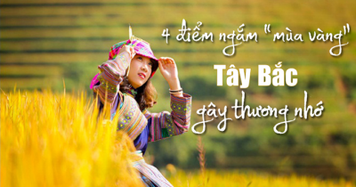 4 Điểm Đến Du Lịch Tây Bắc Mùa Lúa Chín Gây Thương Nhớ 4 Điểm Đến Du Lịch Tây Bắc Mùa Lúa Chín Gây Thương Nhớ