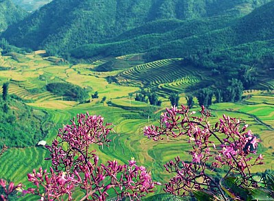 8 Tỉnh Vùng Tây Bắc Hợp Tác Phát Triển Du Lịch Mở Rộng 2017 8 Tỉnh Vùng Tây Bắc Hợp Tác Phát Triển Du Lịch Mở Rộng 2017