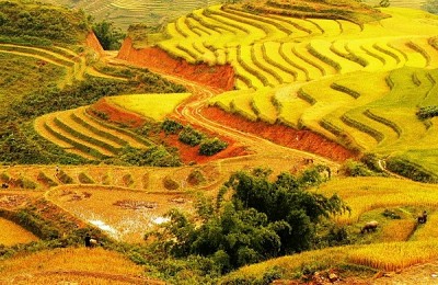 Bốn Mùa Tây Bắc Bốn Mùa Tây Bắc