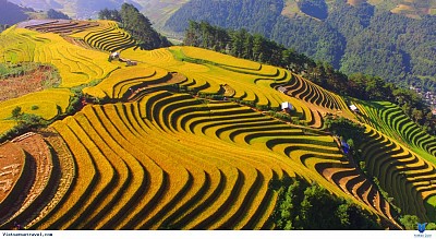 Có nên du lịch Tây Bắc 2021? Có nên du lịch Tây Bắc 2021?