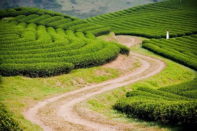 Du Lịch Tây Bắc Và Những Điểm Đến Không Nên Bỏ Qua Du Lịch Tây Bắc Và Những Điểm Đến Không Nên Bỏ Qua