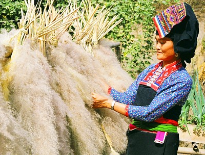 Dùng bông lau làm đệm nét đẹp của vùng Tây Bắc Dùng bông lau làm đệm nét đẹp của vùng Tây Bắc