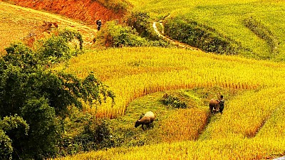 Lào Cai: “điểm đến đẹp nhất trên thới giới”. Lào Cai: “điểm đến đẹp nhất trên thới giới”.