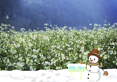 Mùa Hoa Trắng Mộc Chấu nở rộ khắp vùng Tây Bắc trong ngày Noel 2018 Mùa Hoa Trắng Mộc Chấu nở rộ khắp vùng Tây Bắc trong ngày Noel 2018