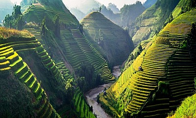 Mùa Lúa Chín Mù ở Cang Chải có gì hot Mùa Lúa Chín Mù ở Cang Chải có gì hot