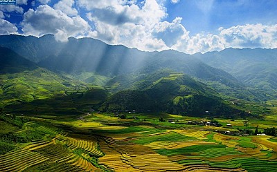 Những điều cần biết về mùa lúa chín ở Mù Cang Chải Những điều cần biết về mùa lúa chín ở Mù Cang Chải