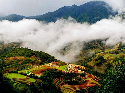 Sapa Phấn Đấu Trở Thành Đô Thị Xanh Vùng Tây Bắc Sapa Phấn Đấu Trở Thành Đô Thị Xanh Vùng Tây Bắc